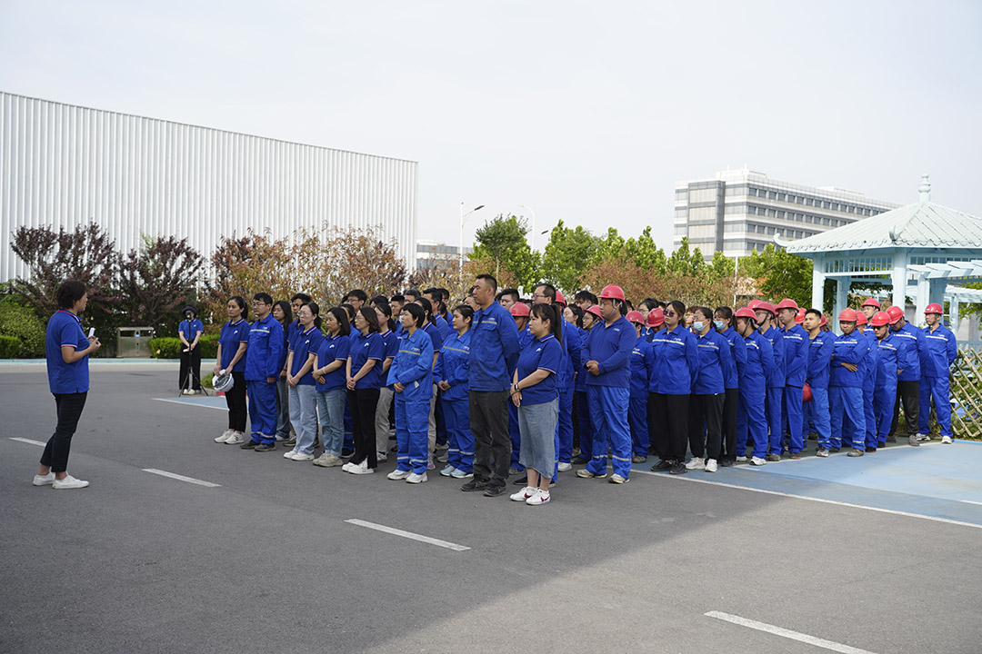 _SON0190.JPG